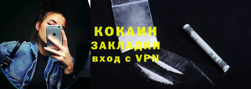 Cocaine FishScale  где купить наркоту  Рыбное 