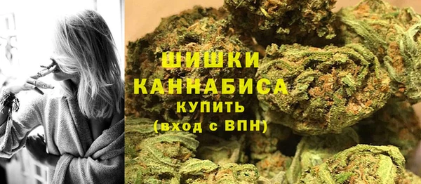 PSILOCYBIN Михайлов
