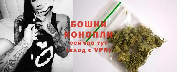индика Болохово